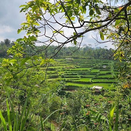 Hide And Seek Tetebatu Exterior photo