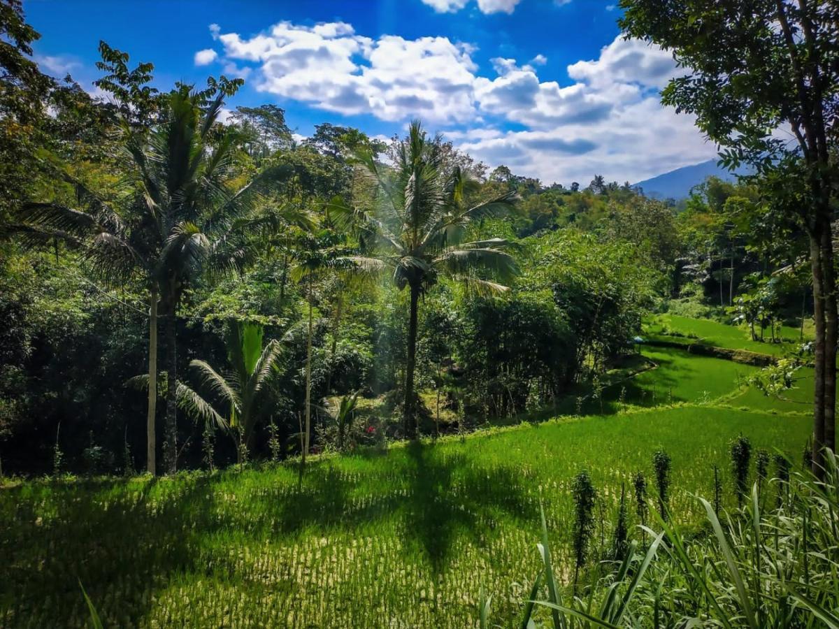 Hide And Seek Tetebatu Exterior photo