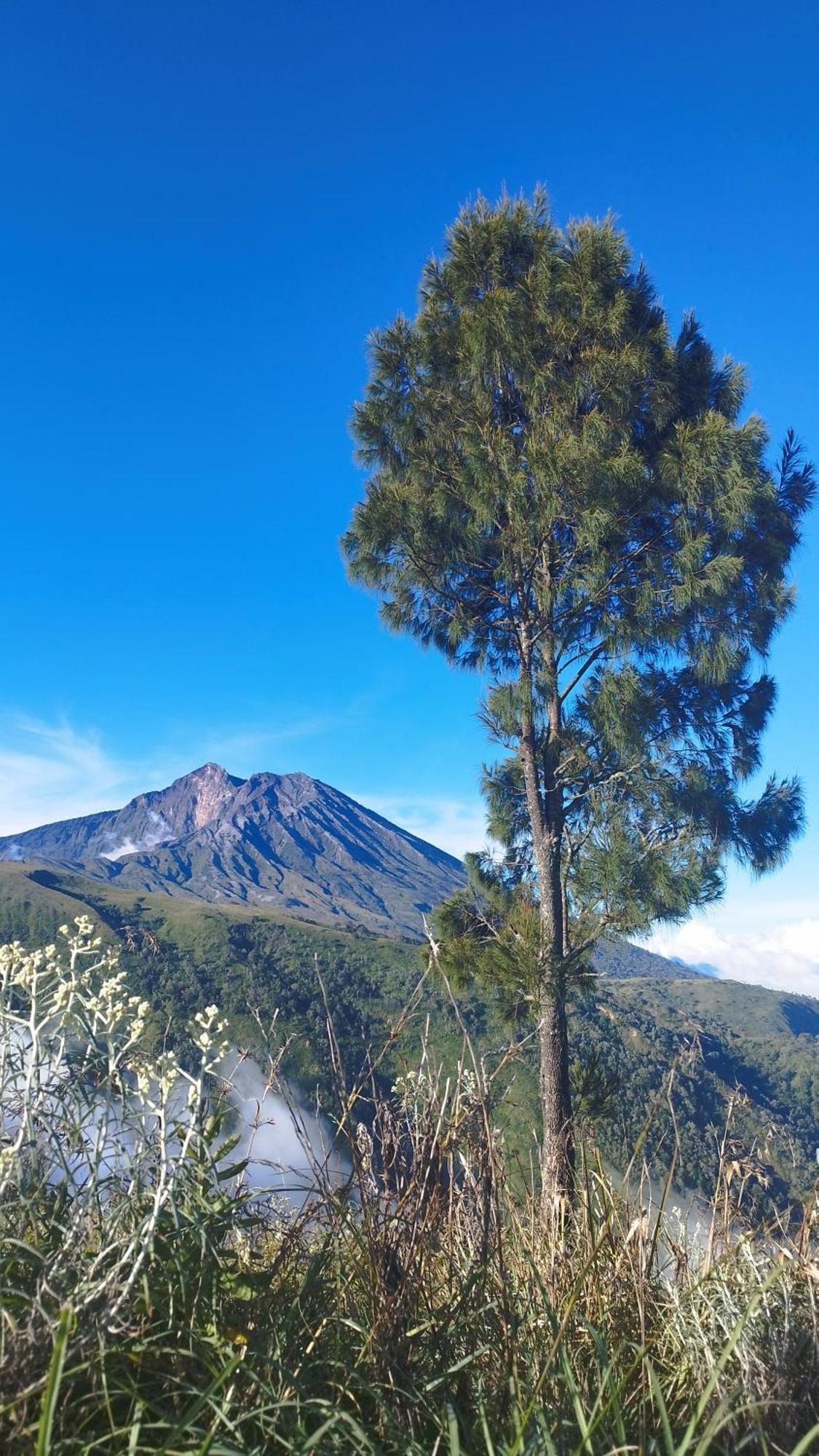 Hide And Seek Tetebatu Exterior photo