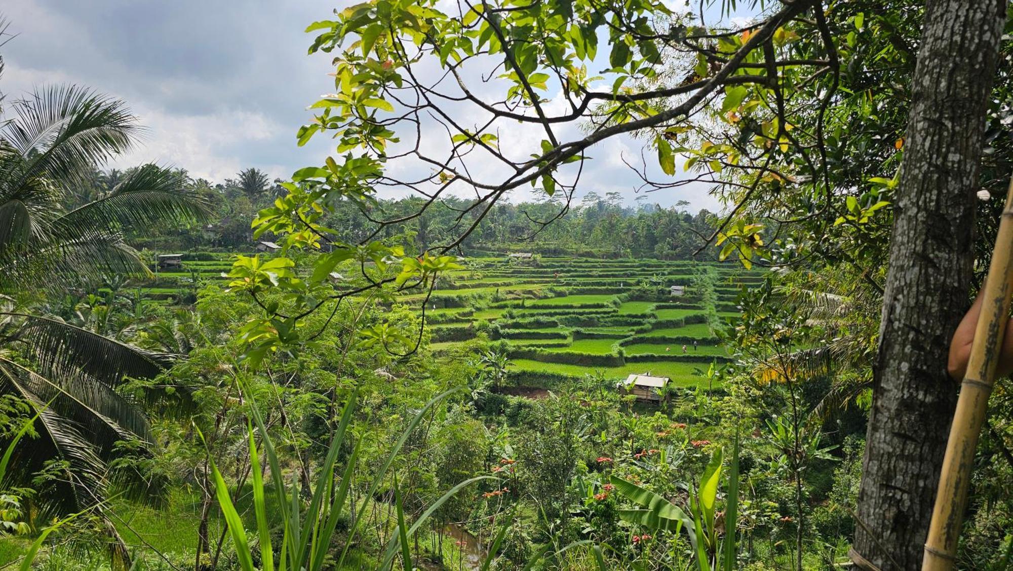 Hide And Seek Tetebatu Exterior photo