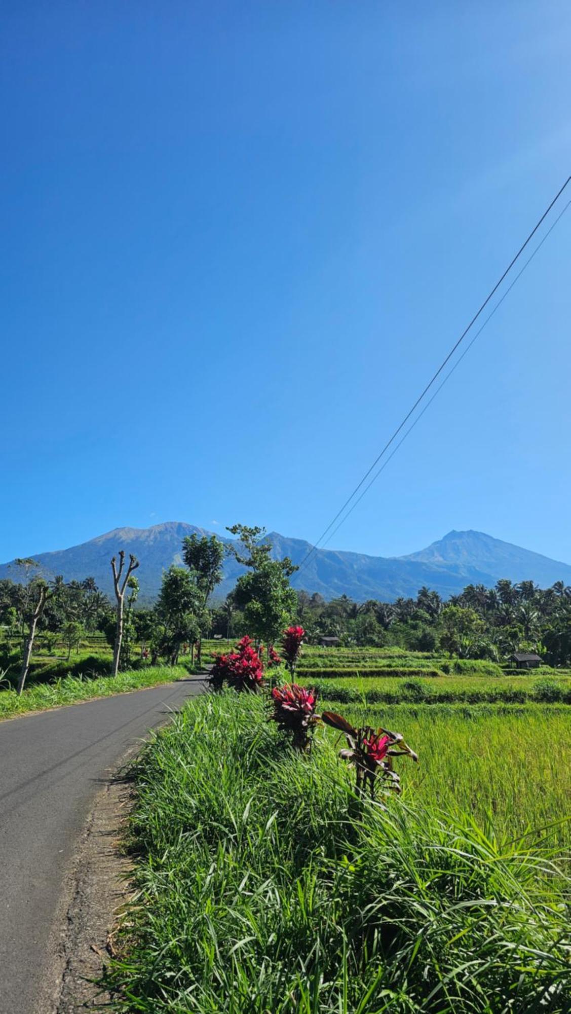 Hide And Seek Tetebatu Exterior photo