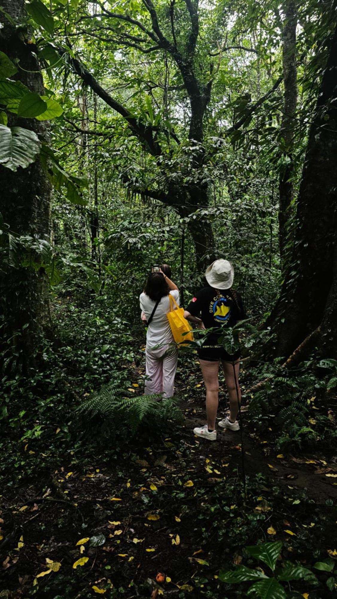 Hide And Seek Tetebatu Exterior photo